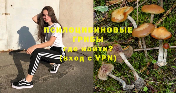 бутират Белокуриха
