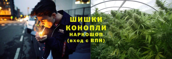 спайс Богданович